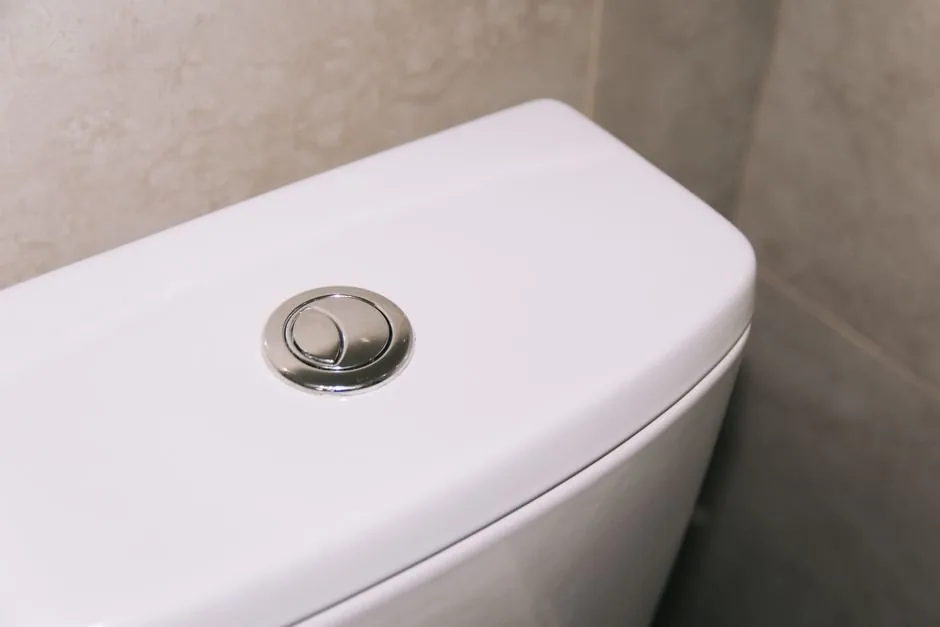 Modern dual-flush toilet