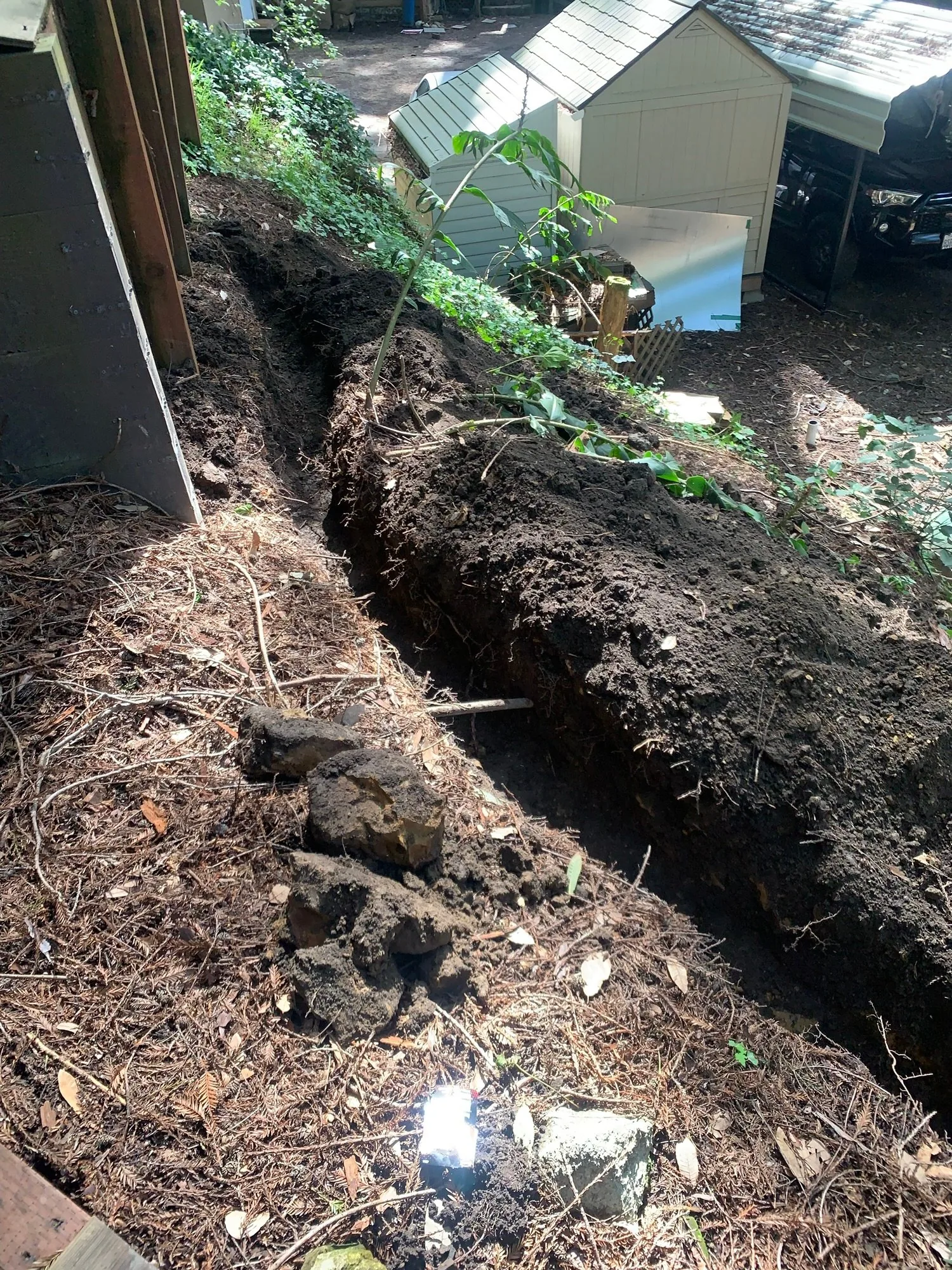 Santa Cruz County's Trusted Drain Field Repair Experts